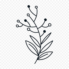 Hand drawn spring flowers illustration. floral illustration