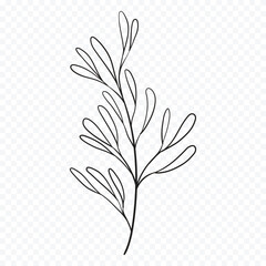 Hand drawn spring flowers illustration. floral illustration