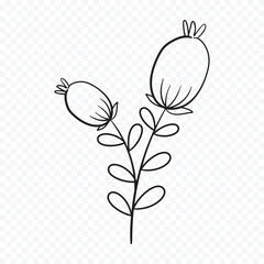 Hand drawn spring flowers illustration. floral illustration