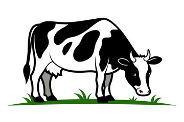 Cow Eating Grass Nature’s Process Displayed on White