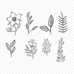 Hand drawn spring flowers illustration. floral illustration