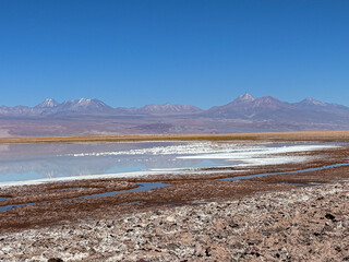 Laguna Tebinquiche: Beleza Surreal no Deserto do Atacama, Chile