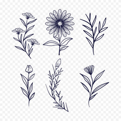 Hand drawn spring flowers illustration. floral illustration