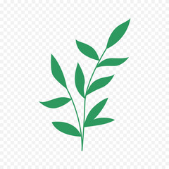 Hand drawn spring flowers illustration. floral illustration