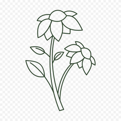 Hand drawn spring flowers illustration. floral illustration
