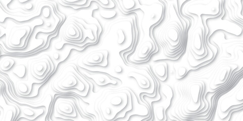 Topography and geography map grid abstract backdrop, Modern design with White background.