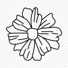 Hand drawn spring flowers illustration. floral illustration