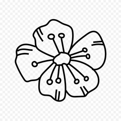 Hand drawn spring flowers illustration. floral illustration