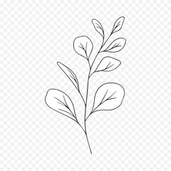 Hand drawn spring flowers illustration. floral illustration