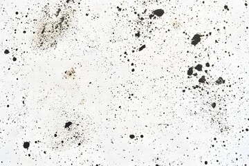 Obraz premium Black Ink Splatter on White