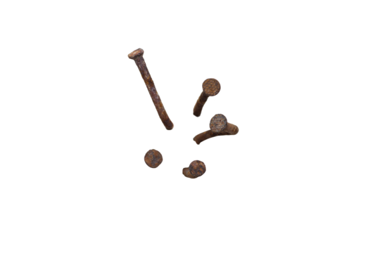 Old nail head isolated on transparent background.
