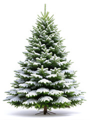 Obraz premium Christmas Tree with Snow isolated on white 