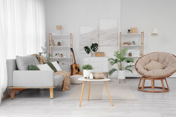 Interior of light living room with sofa, armchair and plants