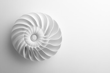 In this black-and-white photograph, the unique helical pattern of a cut nautilus shell stands out against a simple white background