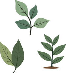 Stylized Green Leaves Illustration