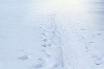 Snow Path. Traces of tires on snow. Car tire track on a empty winter road.