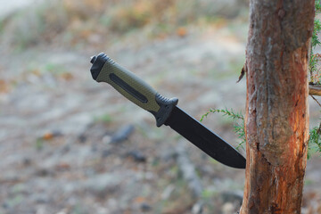 Tactical knife with a green handle in the forest. Tool against the natural leather.