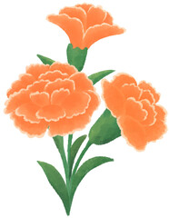 Orange carnation oil painting