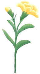 Orange carnation oil painting