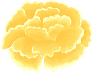 yellow carnation oil painting