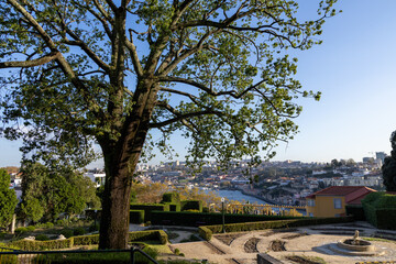 Obraz premium A beautiful overlook to Porto Portugal and the Rio Douro River from Jardins Dos Sentimentos at Parque da Quinta da Macieirinha