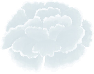 white carnation oil painting