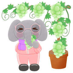Cute elephant 