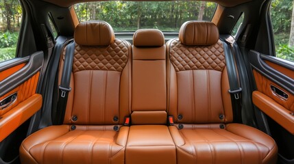 Luxury sedan leather interior display premium vehicle coziness nature view