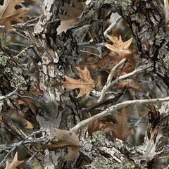 Close Up Oak Tree, Oak Leaves and Branches Hunter Camouflage Pattern, Seamless Camo Texture