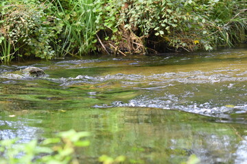 Wasserfall an einem Gebirgsbach 