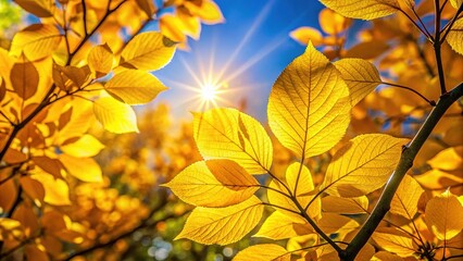 Yellow foliage bursts on a radiant day.