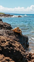 A turtle perched on rocks by the ocean, basking in the sunlight.