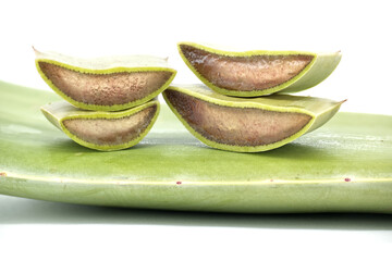 Fresh Cut Aloe Vera Slices on Leaf Surface