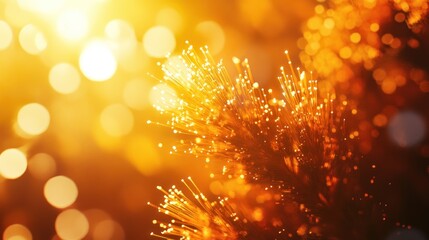 Golden Hour Fiber Optics: A Symphony of Light and Warmth
