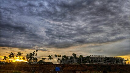 sunset in the forest