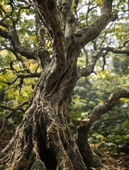 Artistic abstract design of tree branches, natural pattern in wood, organic backdrop concept, tree branches, abstract