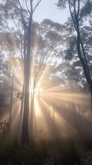 A serene forest scene with sunlight streaming through trees, creating a mystical atmosphere.