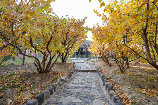 Scenery of Hani people Nationality Scenic Spot in China Ethnic Museum