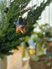 Christmas star ornament