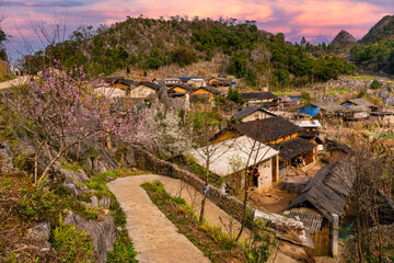 Obraz premium Spring landscape in Ha Giang - Northern mountainous province of Vietnam