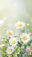 Fototapeta premium Botanical watercolor daisies with green leaves, isolated, flora, vibrant colors, illustration, clipart