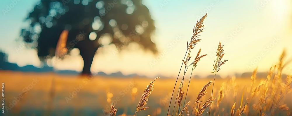 Poster golden grass swaying in the breeze under warm sunlight with a tree in the background.
