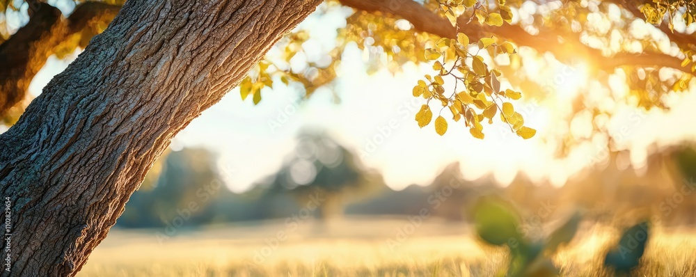Poster tree branch with green leaves, sunlit background in a serene natural setting.