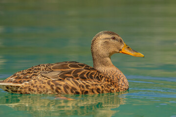 V&C_Switzerland&ItalyAUG-SEPT2024-