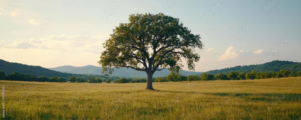 Poster lone tree in a vibrant green field with distant mountains under a clear sky.