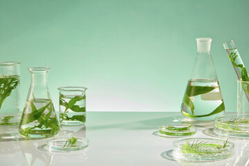 The photograph for seaweed product advertisement was shot from front view on green background. Seaweed can contain antioxidants and beneficial nutrients, including iodine, tyrosine.