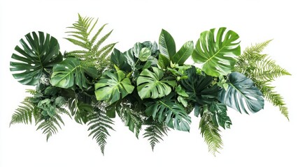 Tropical green leaves forest plant Monstera, fern, and climbing birdâ€™s nest fern foliage plants floral bunch for wedding and ceremony decoration isolated on white background