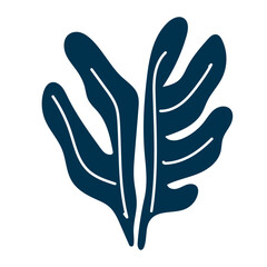 branch leaves nature element