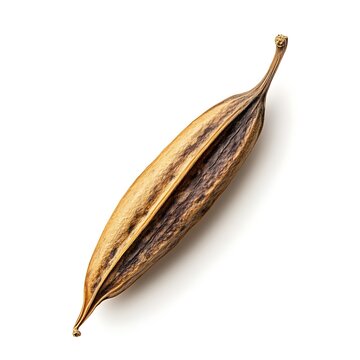 Guar Seed isolated on a white background, close up