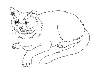 Minimalist black-and-white cat illustration designed for coloring books. A delightful choice for feline fans, kids, and artistic activities.